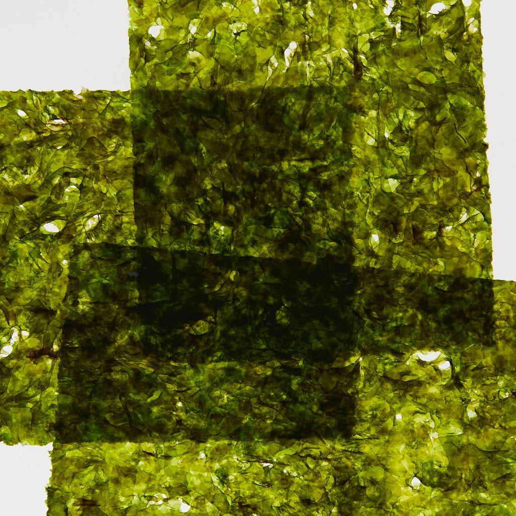 Abel-Cyan Nori-Fragrance-3.CyanNori_Ingredient-2-The Detox Market | 