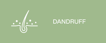 Clean_Hairapy_-_Dandruff_-_Rectangle-The Detox Market - Canada