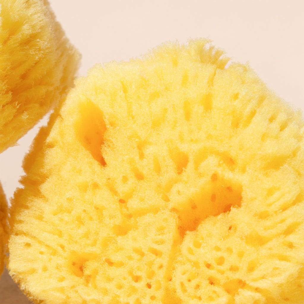 Wildcraft-Silk Sea Sponge-Skincare-buff_scrub_closeup-The Detox Market | 