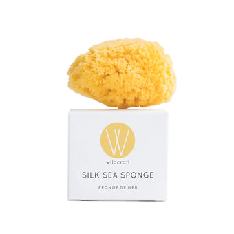 Wildcraft-Silk Sea Sponge-Skincare-buff_scrub_main_69c01ce5-38ae-4e78-b8ba-04833ed27bfd-The Detox Market | 