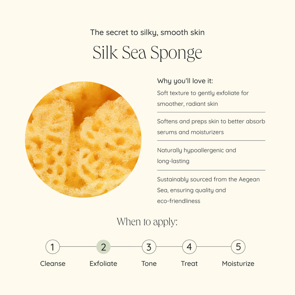 Wildcraft-Silk Sea Sponge-Skincare-sily_sea_sponge_infographic-The Detox Market | 